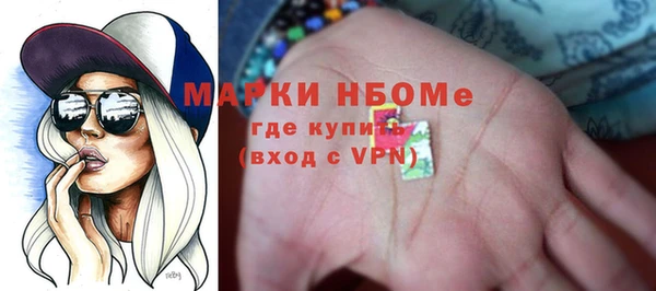 индика Бугульма