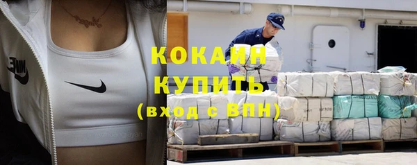 первитин Богданович