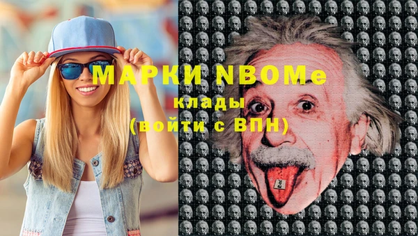 хмурый Бородино