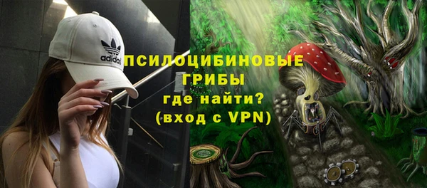 первитин Богданович