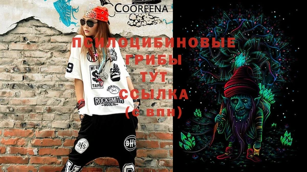 индика Бугульма