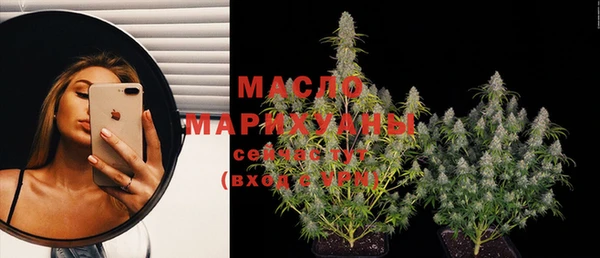 первитин Богданович