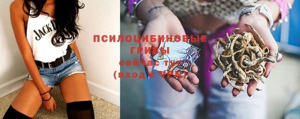 первитин Богданович