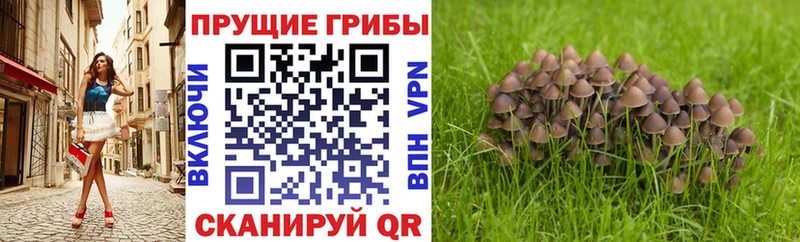 Псилоцибиновые грибы мухоморы Чайковский